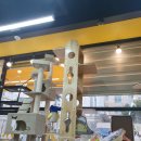 야옹아 멍멍해봐 별내점 이미지