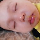 태환농장 이미지