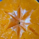 경종농장 이미지