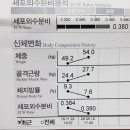 태비샘