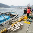 동광어시장 이미지