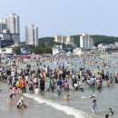 일광 이미지