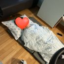 분당-14 | 분당차병원 제왕절개 4박5일 후기