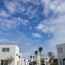 주리Sea 협재 이미지