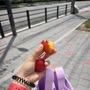 대안을 찾아보자 07/01-07/07
