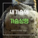 닥터본성형외과의원 | 새가슴·벌어진가슴 고민? 성형외과 전문의가 제시하는 체형 맞춤형 가슴성형 가이드!