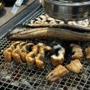 풍천가 서초 | 풍천가 양재 서초직영점 장어 구이 맛집 구워주는 곳