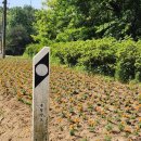 점리마을 이미지