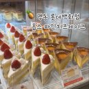 [중구] 롯데백화점 본점 옵스 홀케이크 종류, 파인치즈케이크 조각케이크 후기