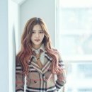 해솔은 이미지
