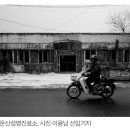 카피하우스 브런치
