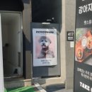 내포동물의료센터 이미지