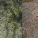 임실상가윷판형암각화유적 이미지