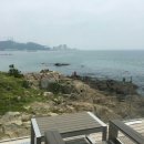 세라비 Daum카페
