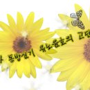 월드스타 JOA와 동방신기 유노윤호의 고단한 결혼생활?! -제23화- 이미지