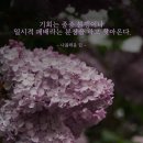 행복의선순환 이미지