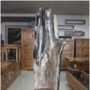 화석(규화목) 이미지