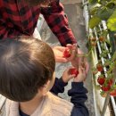 도마리10소교량 | 경기광주 가볼만한 곳 율봄식물원 딸기체험 당일 예약 성공! 6살 아이와 주말 나들이 강추 레일썰매...