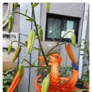 중곡3동주민센터 이미지