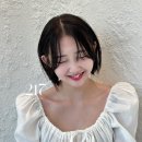 평화살롱 이미지