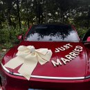 재혼에 골인 7080들/ …중장년 미팅시장 ‘호황’ 이미지