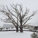 석정온천휴스파 이미지