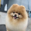 멍 삼촌 이미지