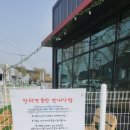 용성길 | 평택 애견동반카페 [조댕이네] 이용후기