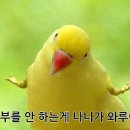 미나상