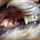 중계이오동물병원 이미지