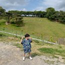 안내목장2 이미지