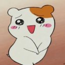 카페키움