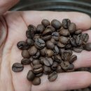 몽해농장 이미지