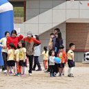 홍산초등학교병설유치원 이미지