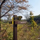 월류봉 둘레길 완정교 화장실 | 월류봉 ↔ 반야사 17.8km - 영동 월류봉 둘레길 1.2.3 코스