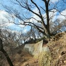 백제행정사사무소 이미지