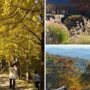 준스테이 이미지