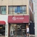 하나비카레 | 대흥역 공덕 맛집 [카츠하나비] 히레카츠, 로스카츠, 맛보기카레, 바라카츠 삼겹살 돈까스/내돈내산 후기