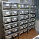 라피스게코 이미지