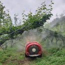 대전광역시 농업기술센타 이미지