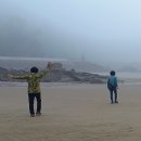 덕적도에서 이미지