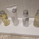 브라운도트 진하해수욕장점 이미지