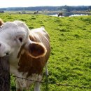 복지농장 이미지