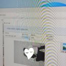 드루와 | 오송 스튜디오 드루와 내돈내산 만삭촬영 후기