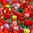 밝은달한의원 이미지