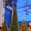 감정동 566 이미지