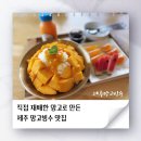 제이농장 | [제주 망고빙수 맛집] 애월 부가네농장 제이샘 카페 후기 – 가격·위치·운영시간까지 총정리