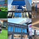 도그마루 강아지고양이 안양점 이미지