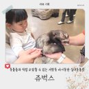 쥬 | [리뷰] 인천 서창동 실내동물원 아기와 갈만한 곳 쥬벅스 방문 후기