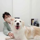 청아동물병원 이미지